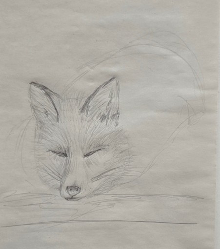sketch_fox-october-2025